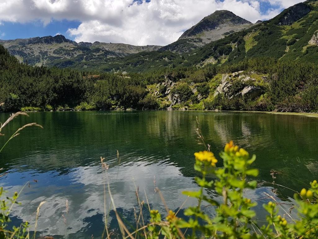 Pirina Club Hotel Bansko Luaran gambar