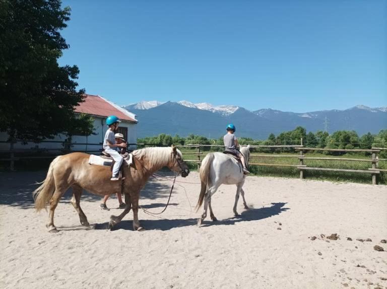 Pirina Club Hotel Bansko Luaran gambar