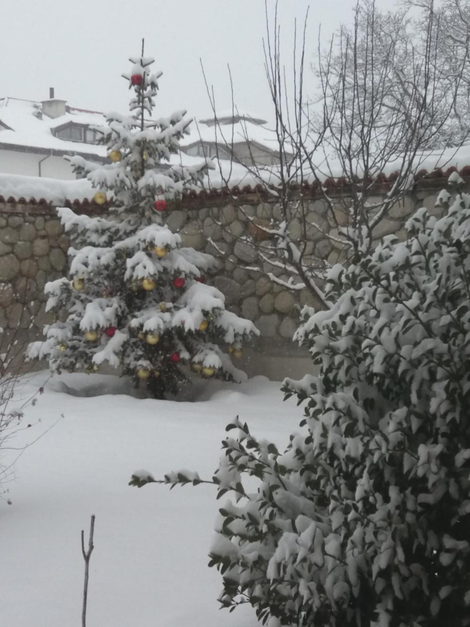 Pirina Club Hotel Bansko Luaran gambar
